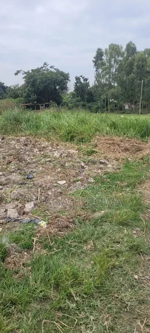Land for Sale in Kitubulu, Entebbe