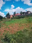 Residential Land for Sale in Gayaza Kiwenda - 2