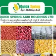 Sales Executives Needed for Food Produce - 2