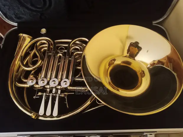 Yamaha YHR-567D Double French Horn - 1