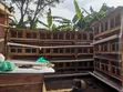 Brand New Rabbit Cage - 3