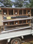Brand New Rabbit Cage - 5