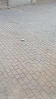 Quality Paving, Asphalt, and Basketball Courts - 4