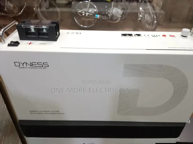 Dyness Lithium Iron Phosphate Battery 2.5kWh/24V - 1
