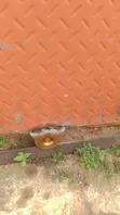3 Bedroom Room & Parlour, Bukerere, Goma - 4