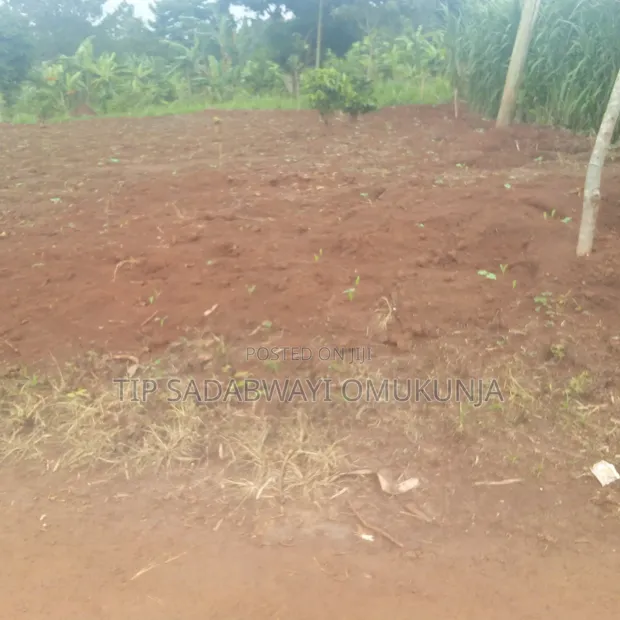 8 Acres Land for Sale in Ngogwe, Buikwe District - 1