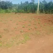 8 Acres Land for Sale in Ngogwe, Buikwe District - 2