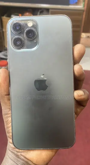 Apple iPhone 12 Pro Max 256GB Gray