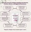 Anti-Aging Multi Collagen Peptides Powder - 2