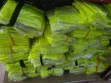 Printed Reflector Vests - Bulk Orders - 5