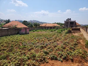 3 Plots for Sale - Buloba Nsangi Rd (Manja)