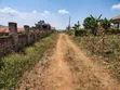 3 Plots for Sale - Buloba Nsangi Rd (Manja) - 5