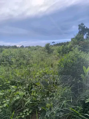 1 Acre Land for Sale in Lugazi, Najjembe Buvuunya