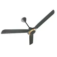 Brand New Ceiling Fan - 2