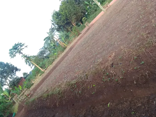 2 Acres Land for Sale in Luwero Bugabo - 1