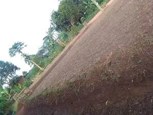 2 Acres Land for Sale in Luwero Bugabo