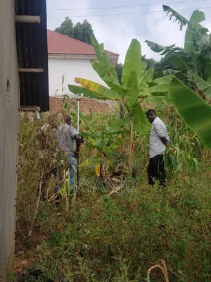 Land for Sale in Mpigi, Mawokota