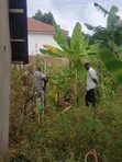 Land for Sale in Mpigi, Mawokota - 1