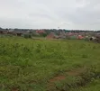 Land for Sale in Mpigi, Mawokota - 2