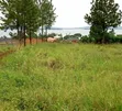 Land for Sale in Mpigi, Mawokota - 3