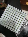 Box of 100 Pool Cue Tips (11mm) - 2