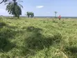 1 Acre Beachfront Land for Sale in Garuga, Wakiso - 1