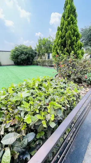 Executive Grass Carpets - Per Square Meter