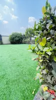Executive Grass Carpets - Per Square Meter - 2