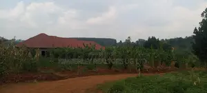 Residential Plots for Sale - Kyanja