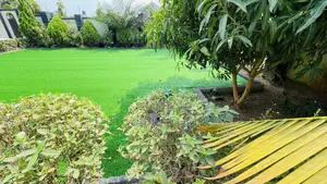 Home Beautiful Grass Carpets Per Square Meter