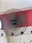 Brand New Ceiling Fan - 2