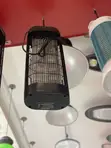 Insect Killer - 1