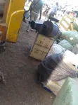 700kg/hr Maize & Soya Milling Machine with 24hp Changfa Diesel Engine - 2