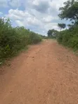 478 Acres for Sale in Kamira, Kikyusa (Luweero) - 3