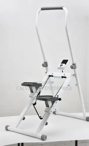 Mountain Gym Fitness Stepper Climber