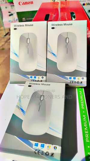 Rechargeable Wireless and Bluetooth Mouse