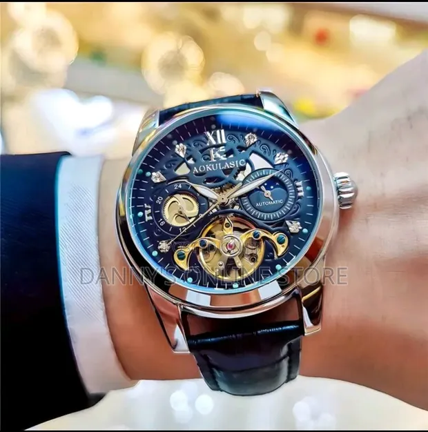 Fensir Luxury Automatic Mechanical Watch with Moon Phase - 1