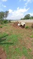 Land for Sale in Matuga, 14km from Kampala - 5
