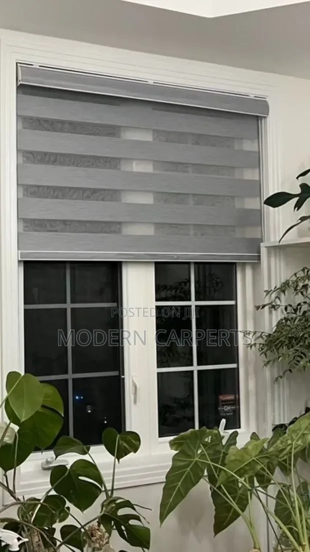 Window Zebra Blinds - 1