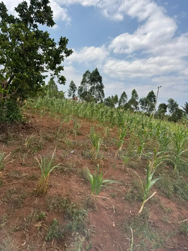 Land for Sale in Nakifuma Magogo, 38km from Kampala - 1