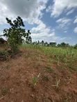 Land for Sale in Nakifuma Magogo, 38km from Kampala - 4
