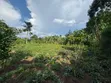 Land Plot for Sale in Kakinzi Nakifuma (100x50ft) - 2