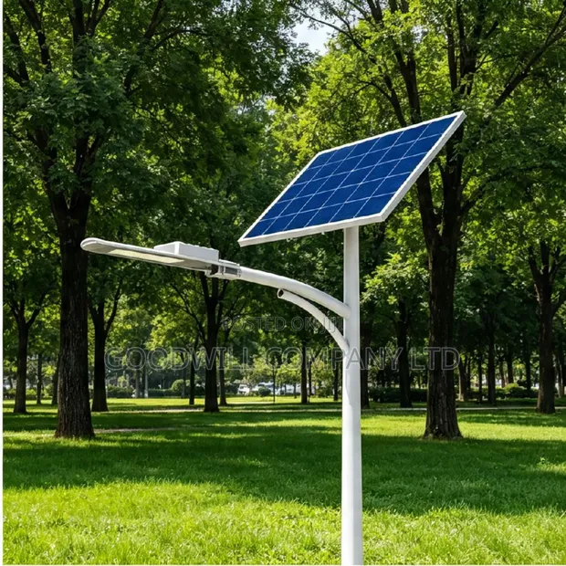 600W Blue Carbon Sword Solar Street Light - 1