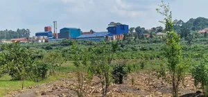 Mukono Industrial Land - 9 Acres for Sale