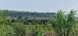 Mukono Industrial Land - 9 Acres for Sale - 2