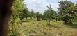 Mukono Industrial Land - 9 Acres for Sale - 3