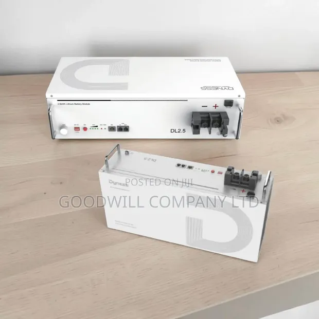 Dyness 2.5kWh Lithium Battery (DL2.5/DL2.5C) - 1
