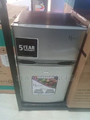 Roch Double Door Refrigerator 110L