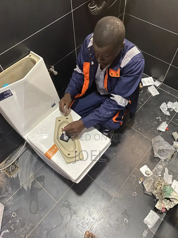 Toilet Seat Installation & Repair - 1