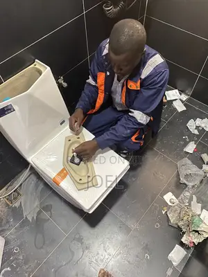 Toilet Seat Installation & Repair